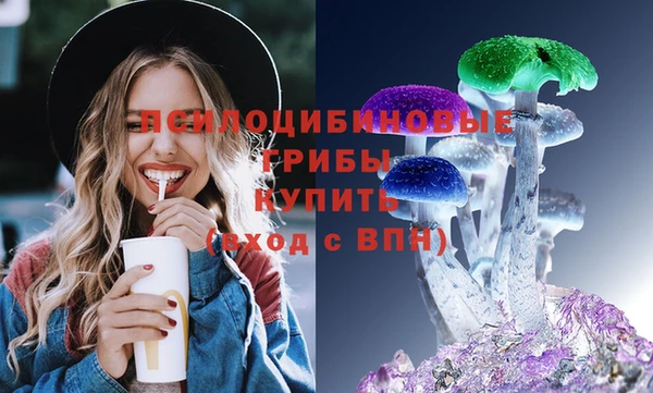 соль ск Алзамай