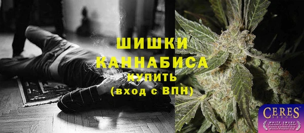 соль ск Алзамай
