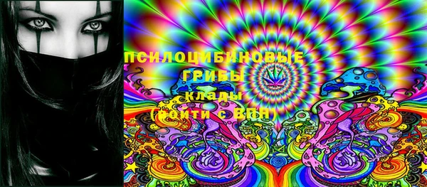 герыч Алексин