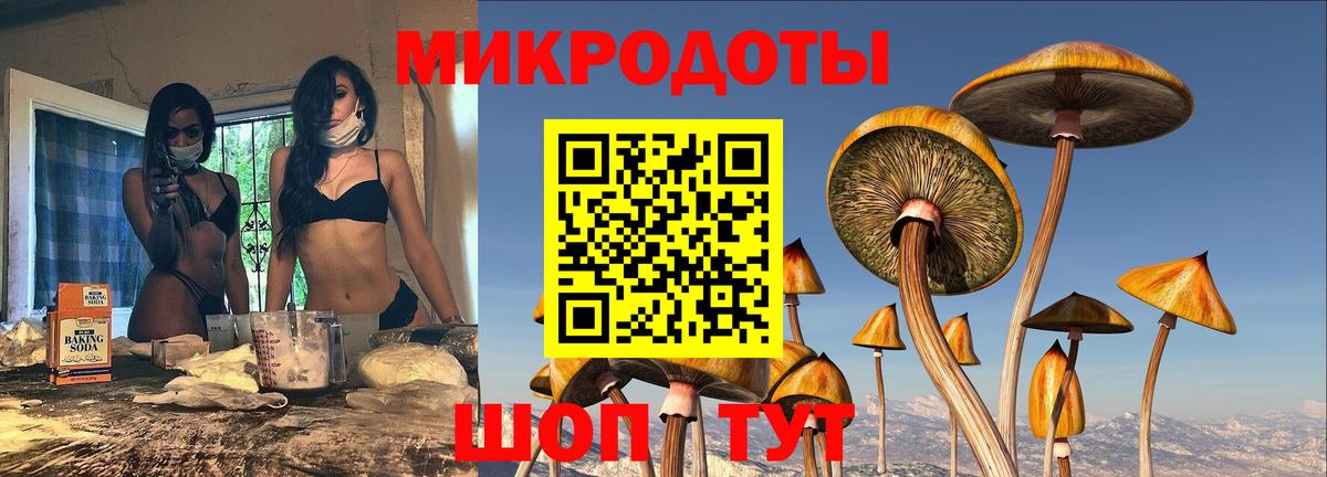 Галлюциногенные грибы Psilocybe  Вход с VPN  Омск 